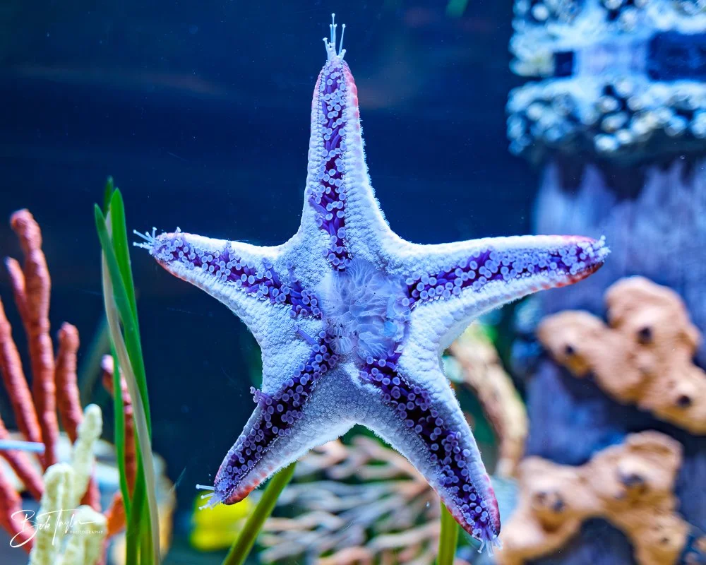 20260126-EPCOT All -56.jpg