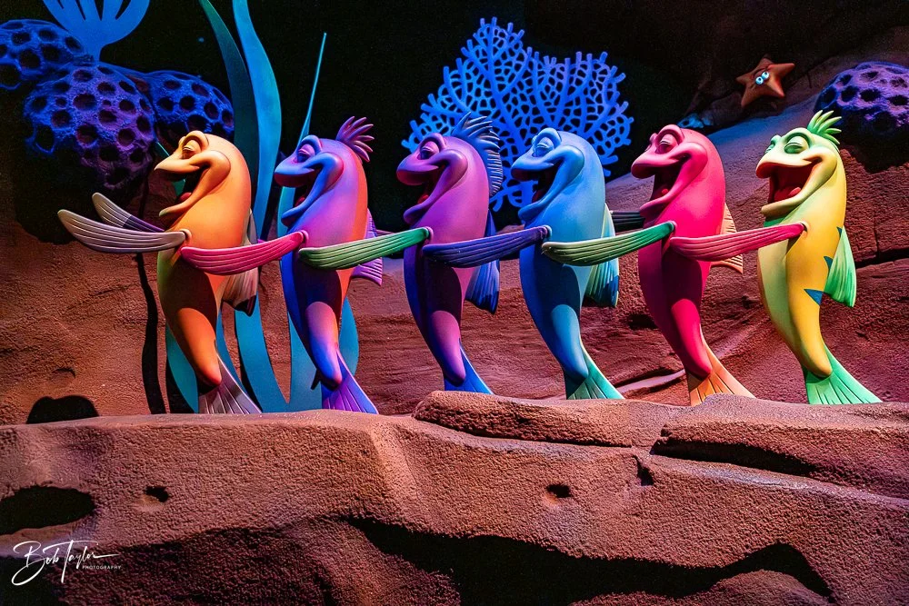 20260128-Magic Kingdom All -212.jpg