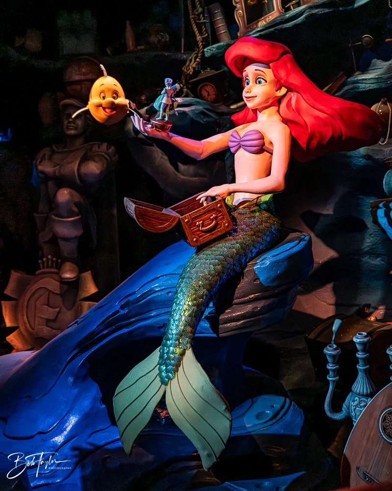 20260128-Magic Kingdom All -208.jpg