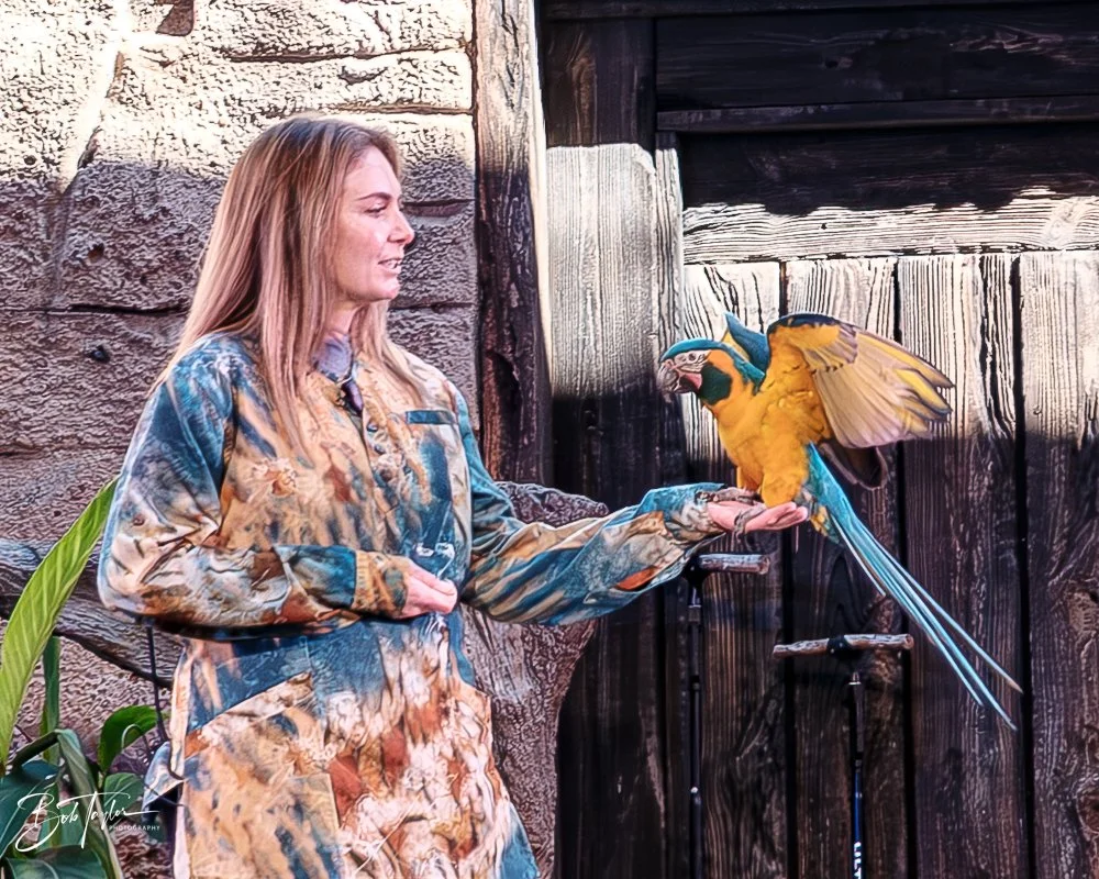 20260127-Animal Kingdom All -50.jpg