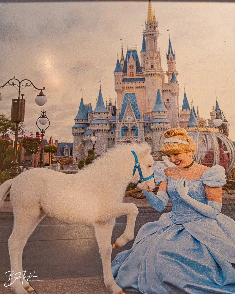 20260131-Fort Wilderness -35.jpg