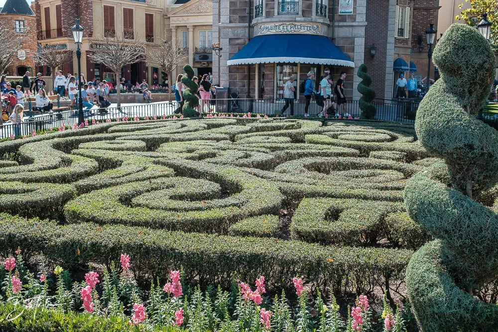 20260126-EPCOT All -117.jpg