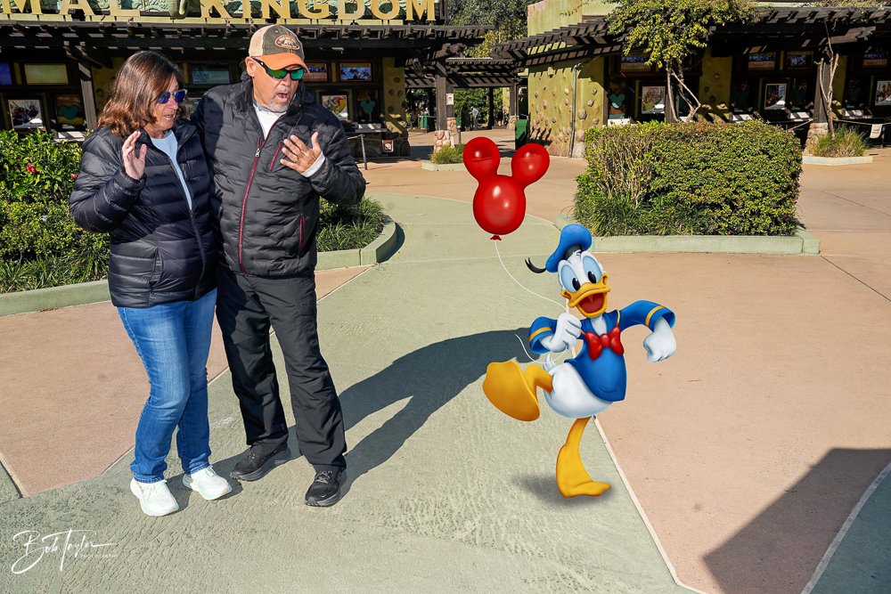 20260127-Animal Kingdom All -162.jpg