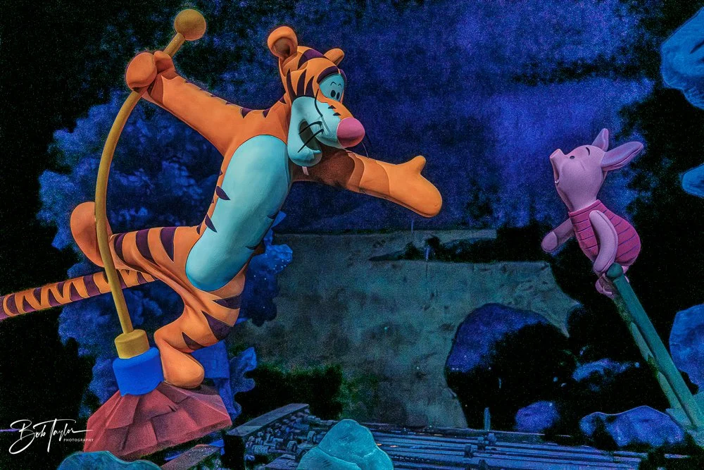 20260128-Magic Kingdom All -23.jpg