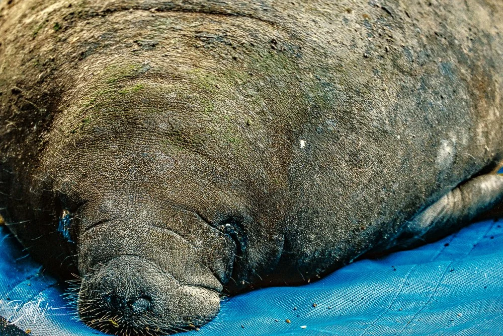 20260126-EPCOT All -53.jpg