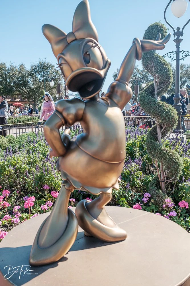 20260128-Magic Kingdom All -123.jpg