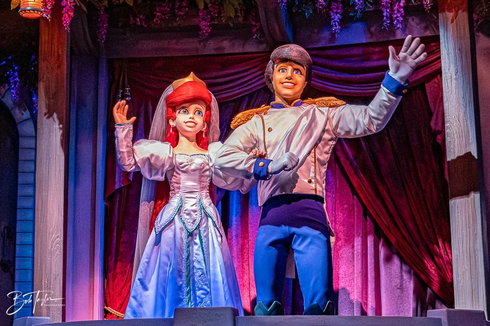 20260128-Magic Kingdom All -224.jpg