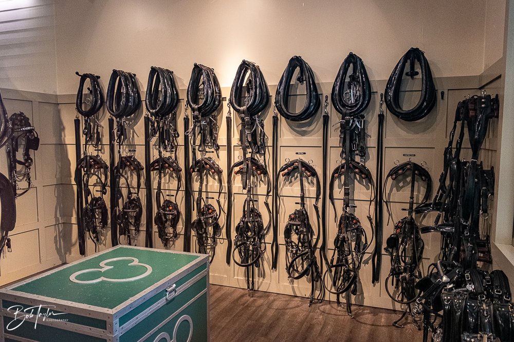 20260131-Fort Wilderness -23.jpg