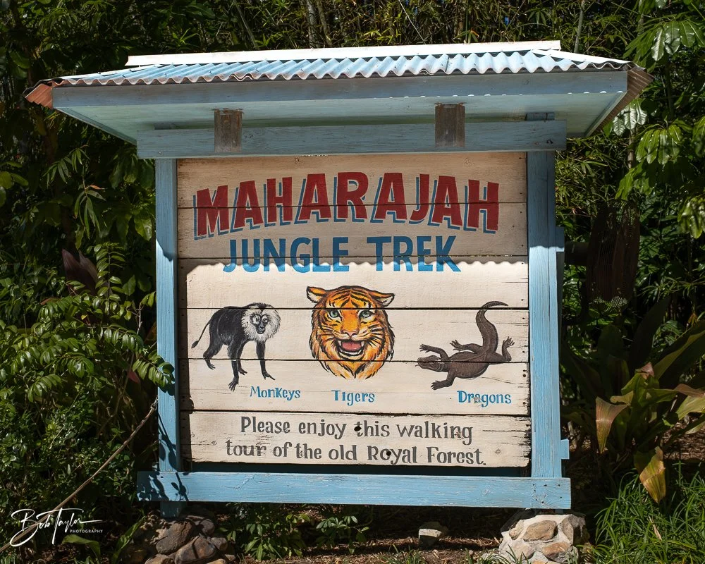 20260127-Animal Kingdom All -119.jpg