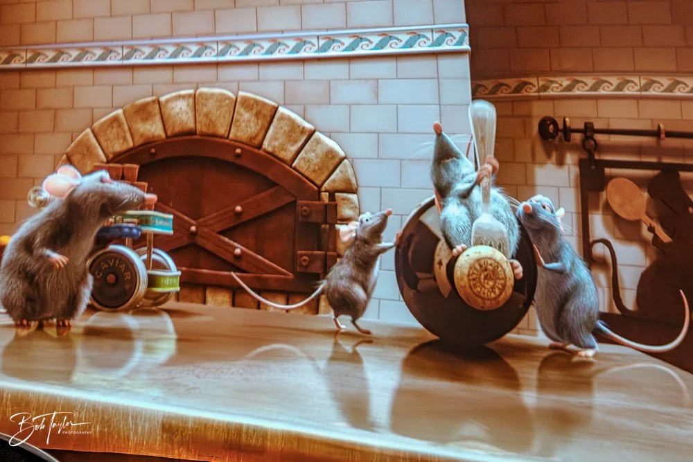 20260126-EPCOT All -114.jpg