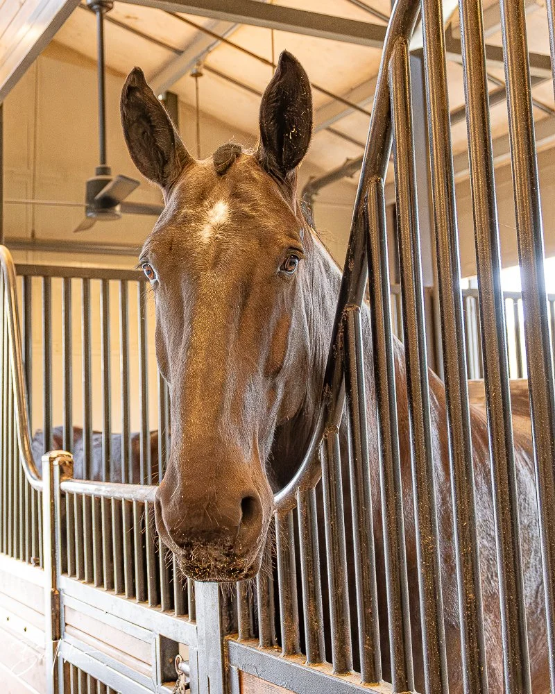 20260131-Fort Wilderness -21.jpg