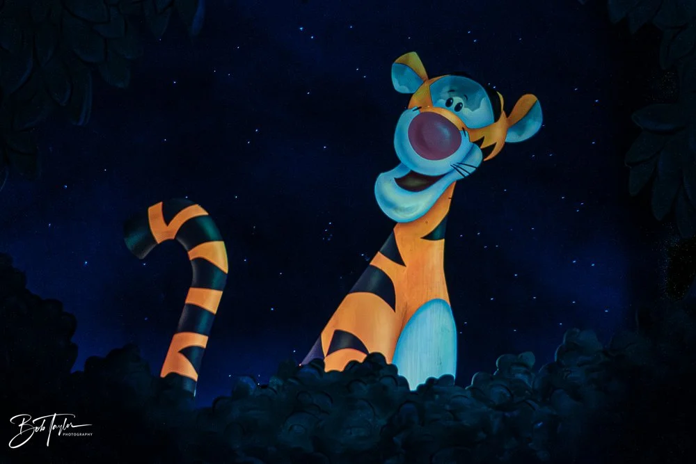 20260128-Magic Kingdom All -19.jpg