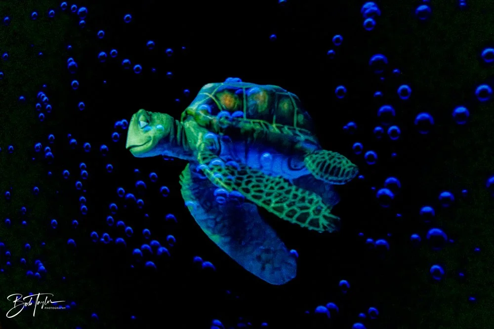 20260126-EPCOT All -47.jpg