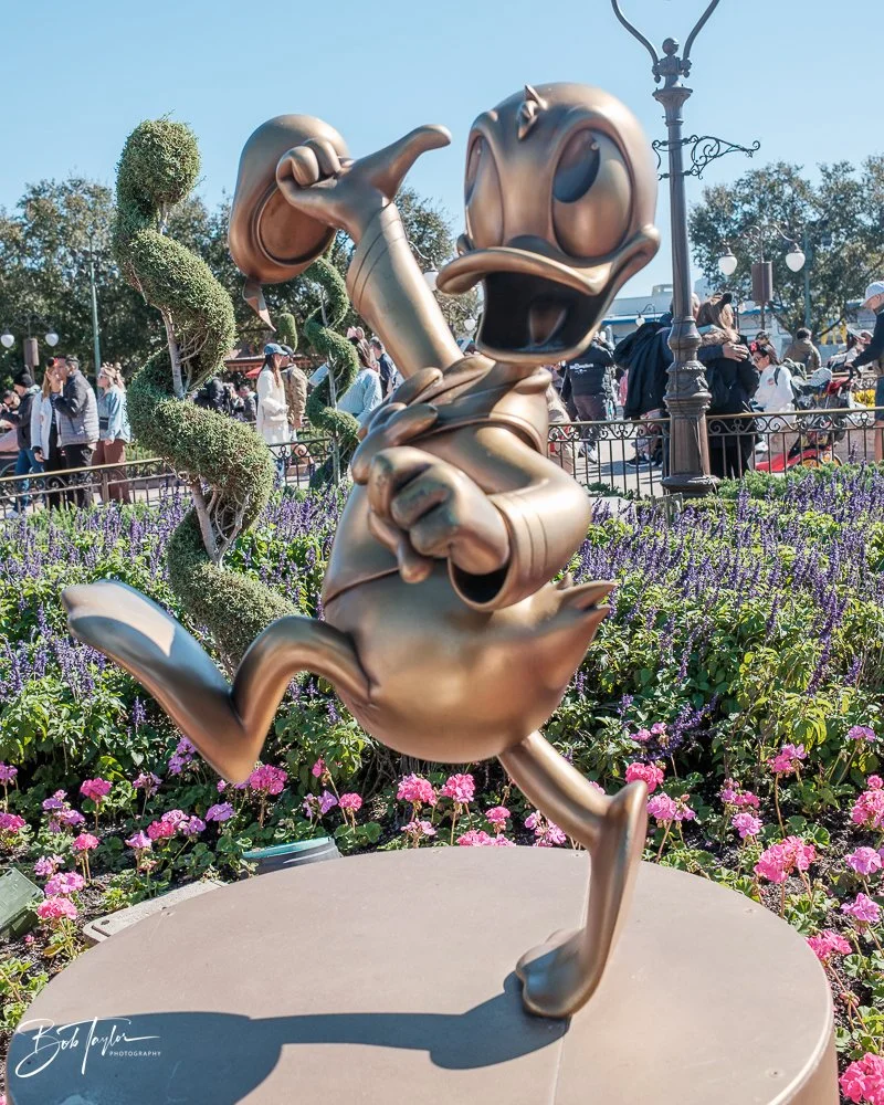 20260128-Magic Kingdom All -122.jpg