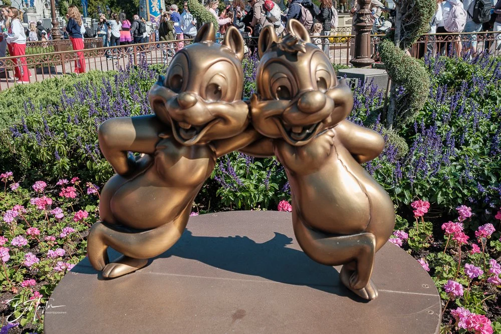 20260128-Magic Kingdom All -121.jpg