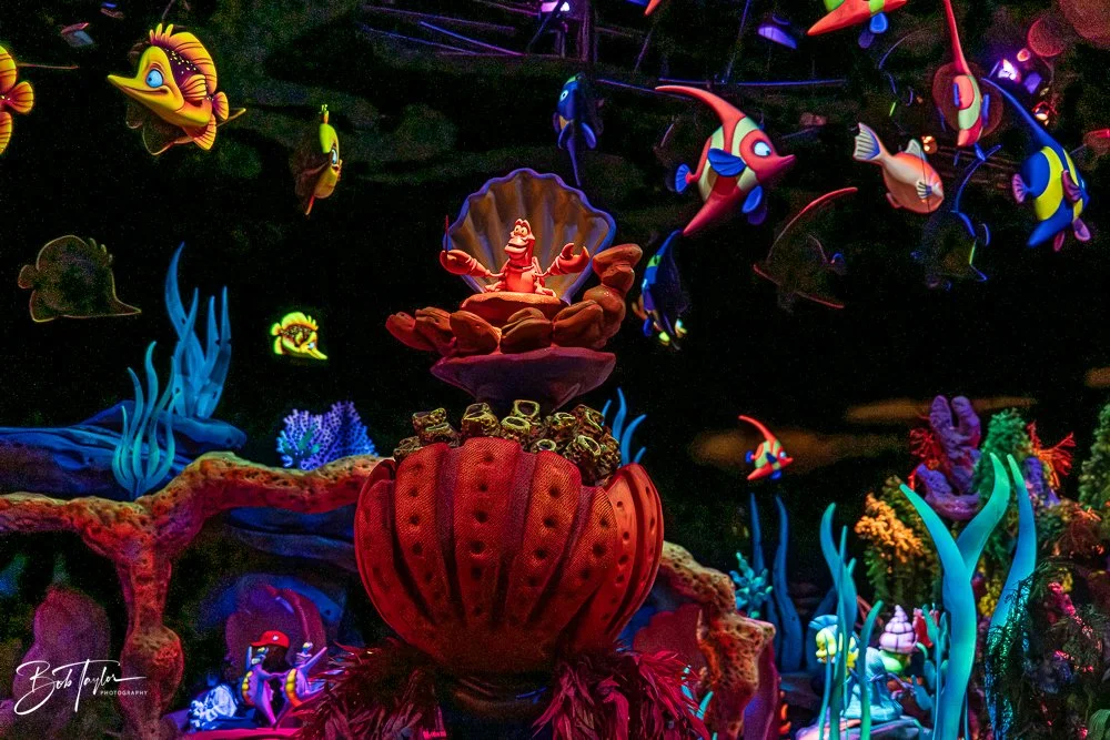 20260128-Magic Kingdom All -211.jpg