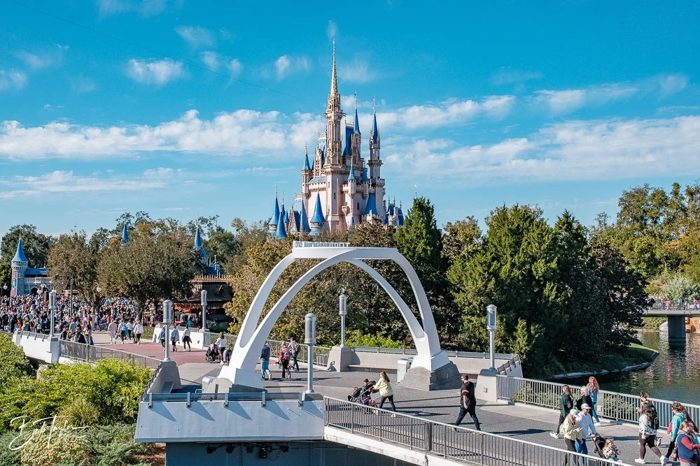 20260128-Magic Kingdom All -181.jpg