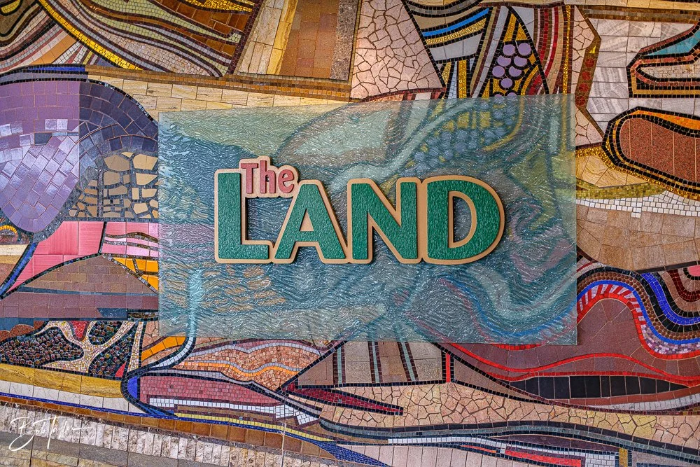 20260126-EPCOT All -32.jpg