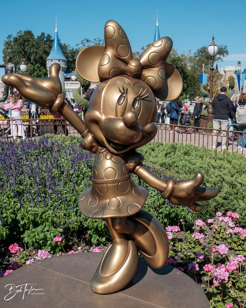 20260128-Magic Kingdom All -117.jpg