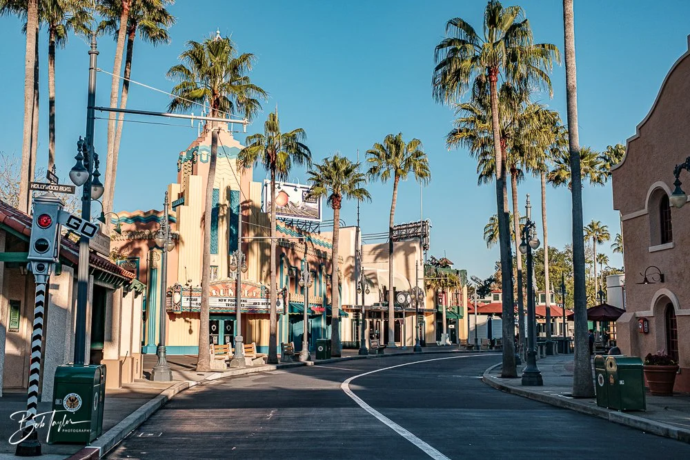 20260129-Hollywood Studios All -3.jpg