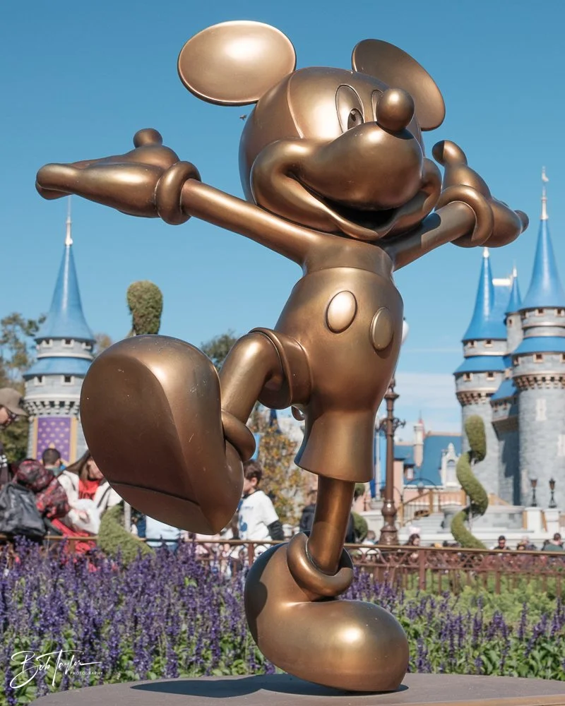 20260128-Magic Kingdom All -119.jpg