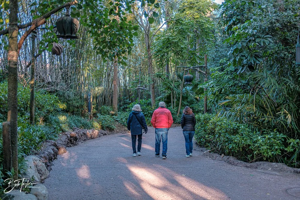 20260127-Animal Kingdom All -15.jpg