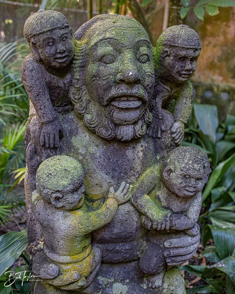 20260127-Animal Kingdom All -118.jpg