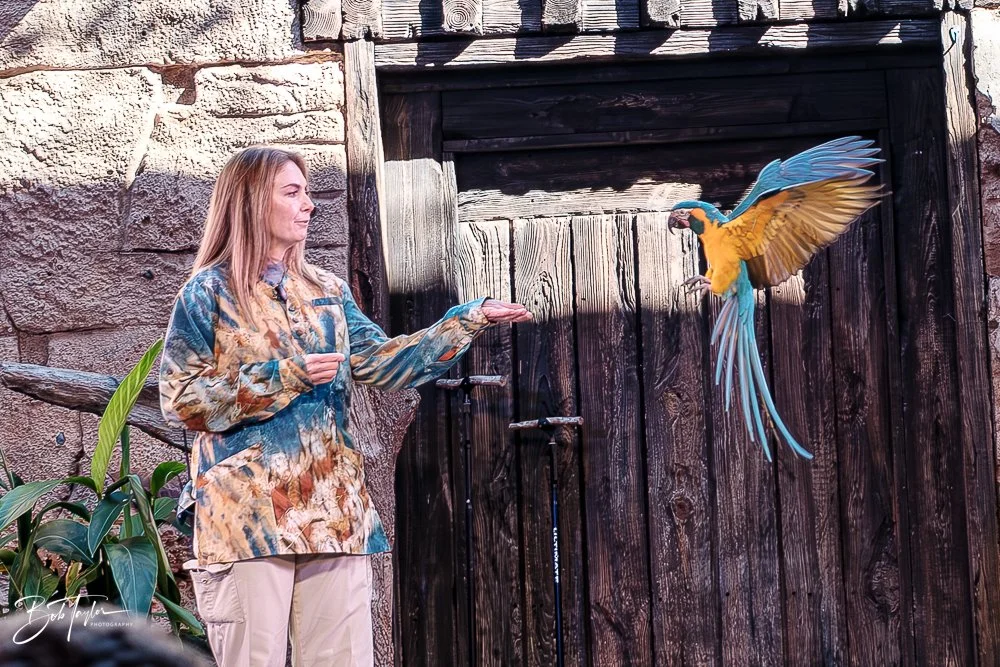 20260127-Animal Kingdom All -48.jpg