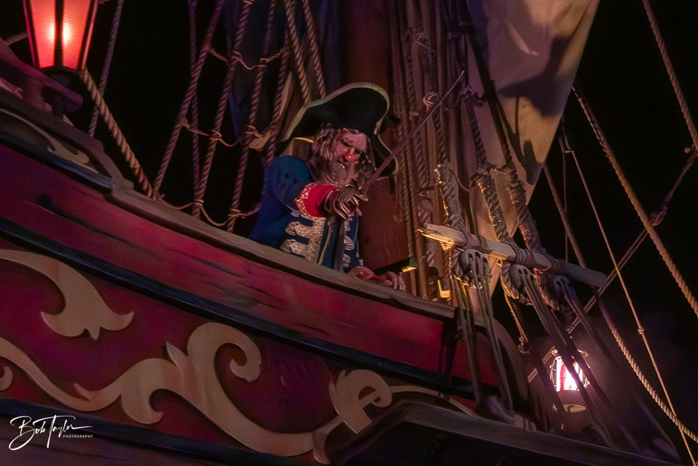 20260128-Magic Kingdom All -69.jpg