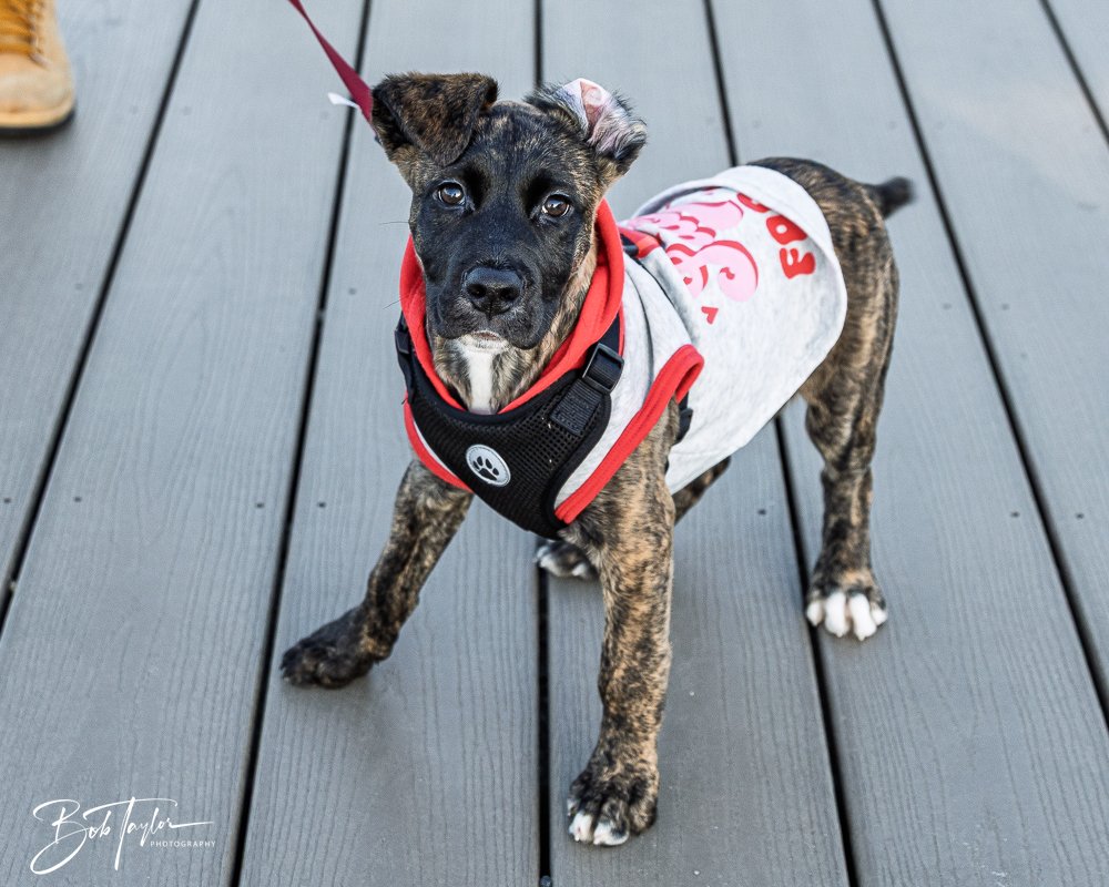 20260206-Mardi Gras Kids -19.jpg