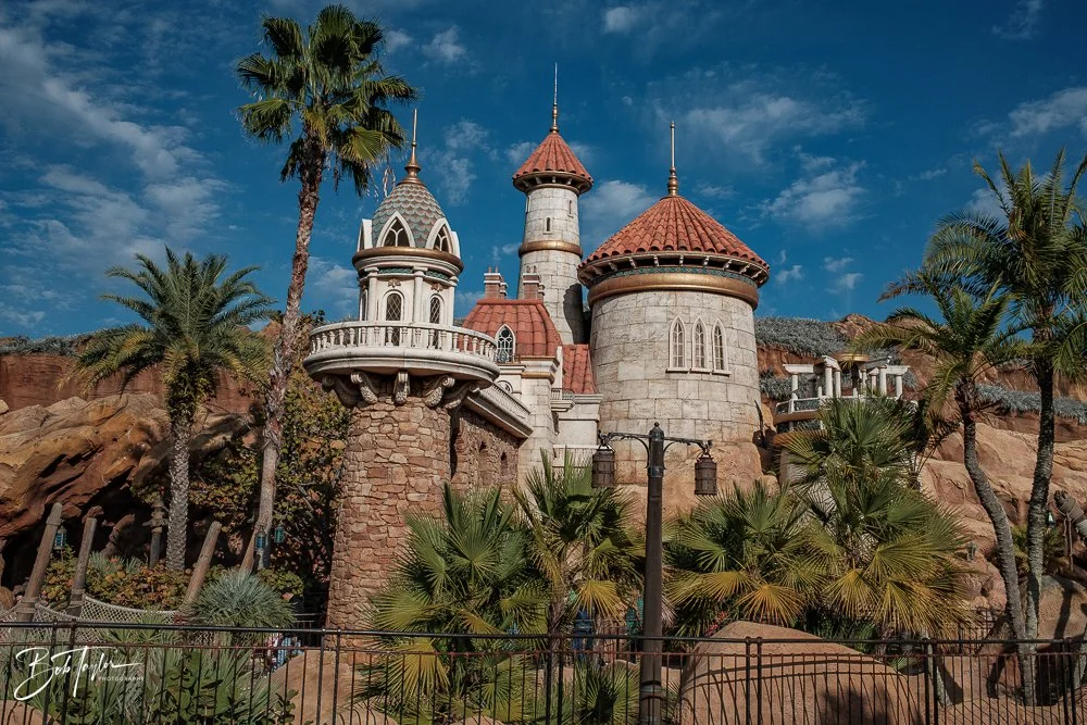 20260128-Magic Kingdom All -204.jpg