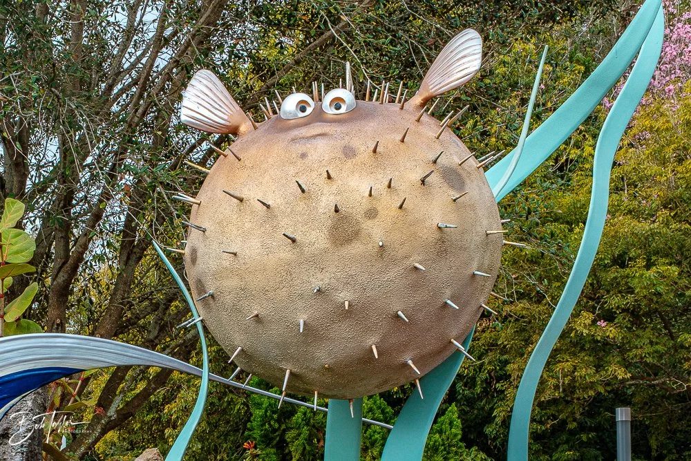 20260126-EPCOT All -28.jpg