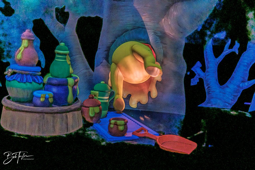 20260128-Magic Kingdom All -24.jpg