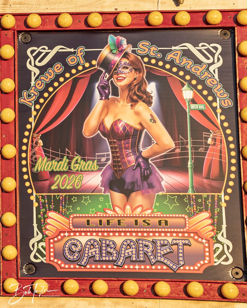 20260206-Mardi Gras Kids -84.jpg