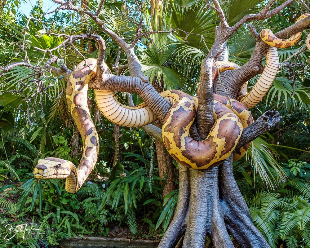 20260128-Magic Kingdom All -94.jpg