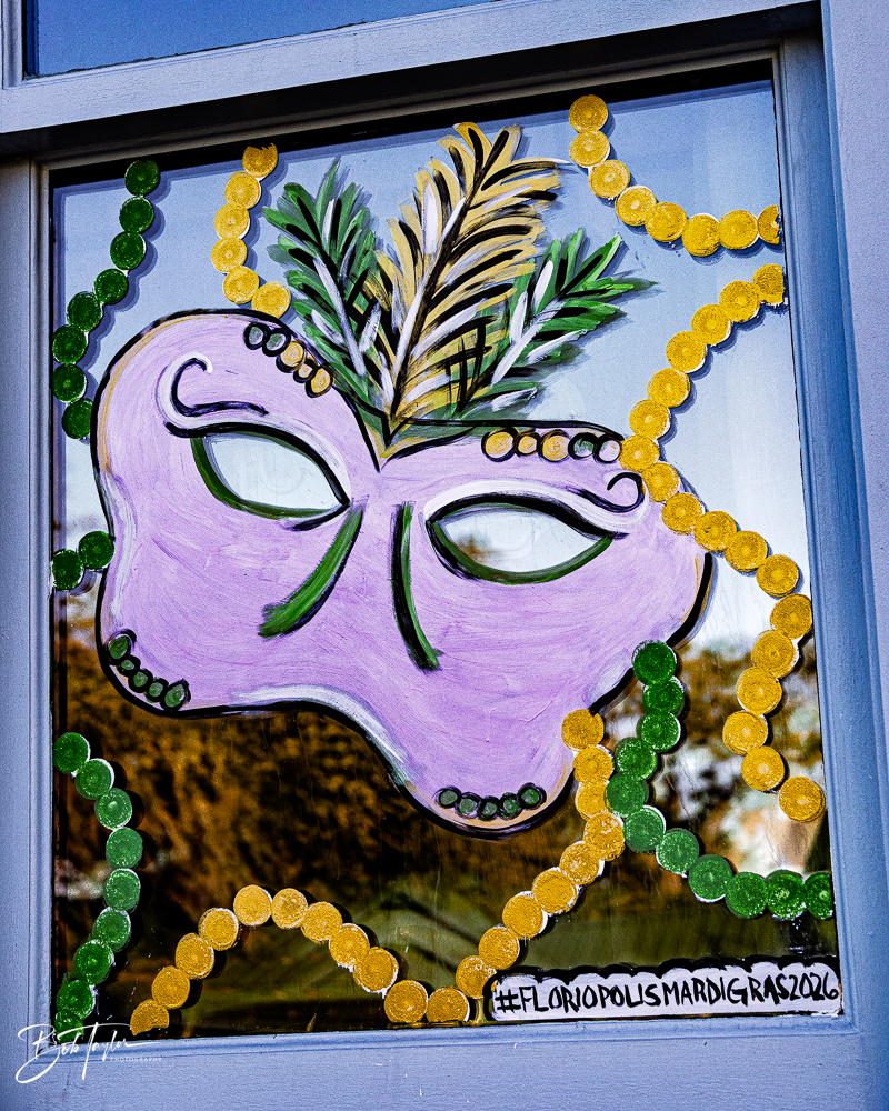 20260115-Mardi Gras Windows -16.png