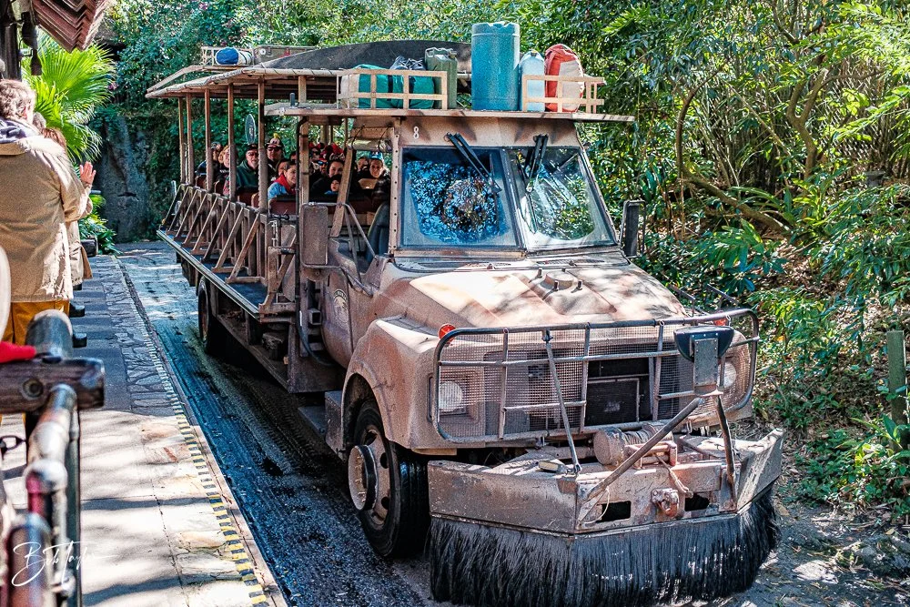 20260127-Animal Kingdom All -62.jpg