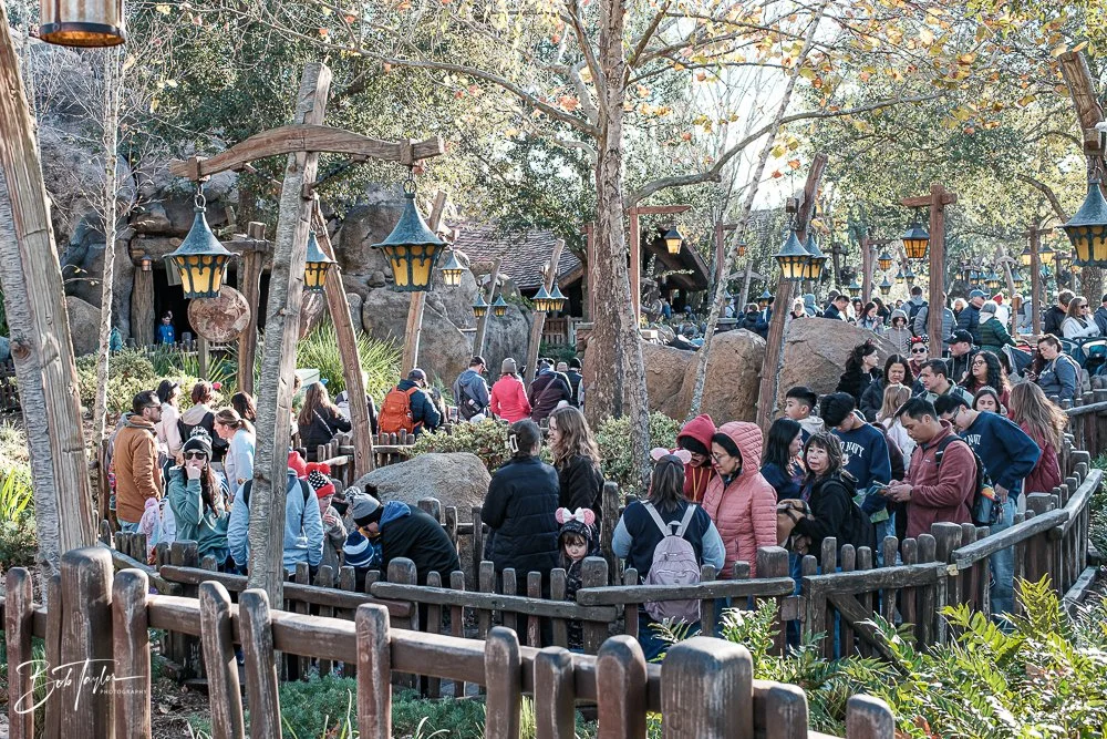 20260128-Magic Kingdom All -33.jpg