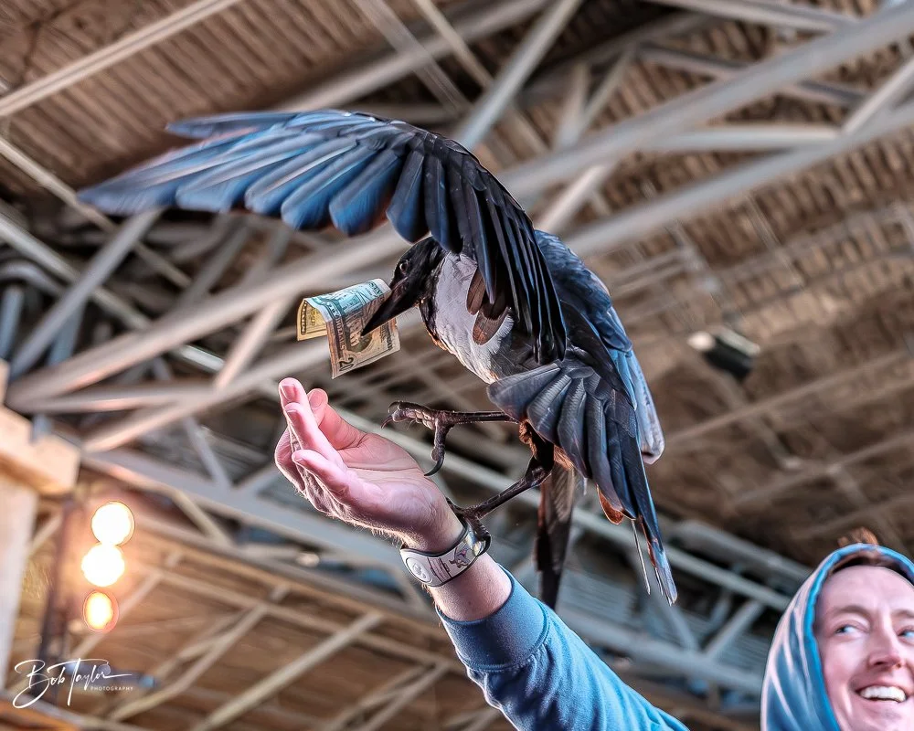 20260127-Animal Kingdom All -28.jpg