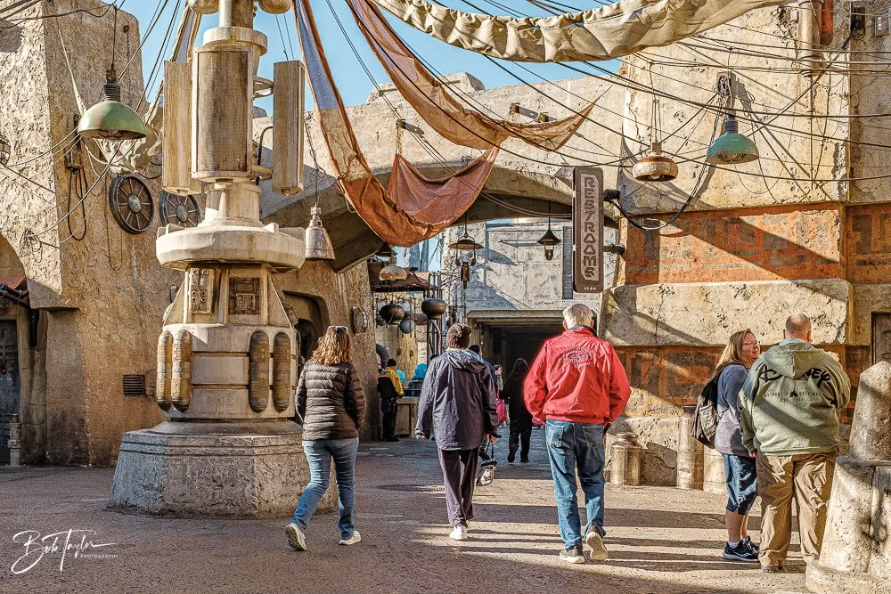 20260129-Hollywood Studios All -43.jpg