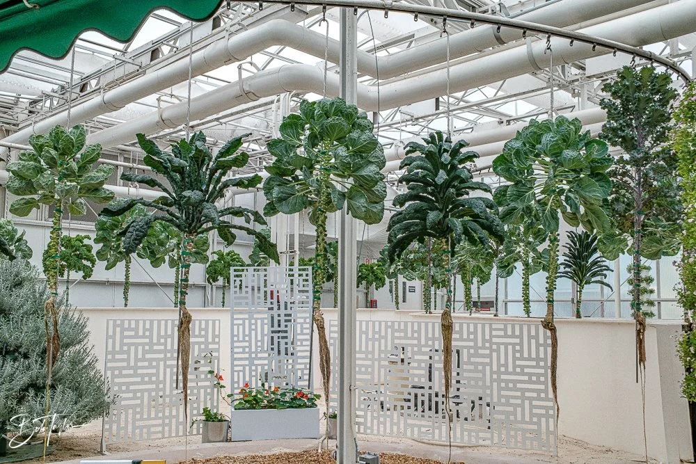 20260126-EPCOT All -42.jpg