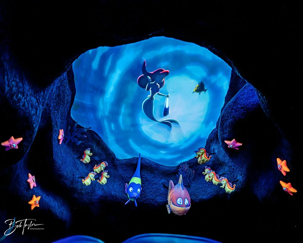 20260128-Magic Kingdom All -207.jpg