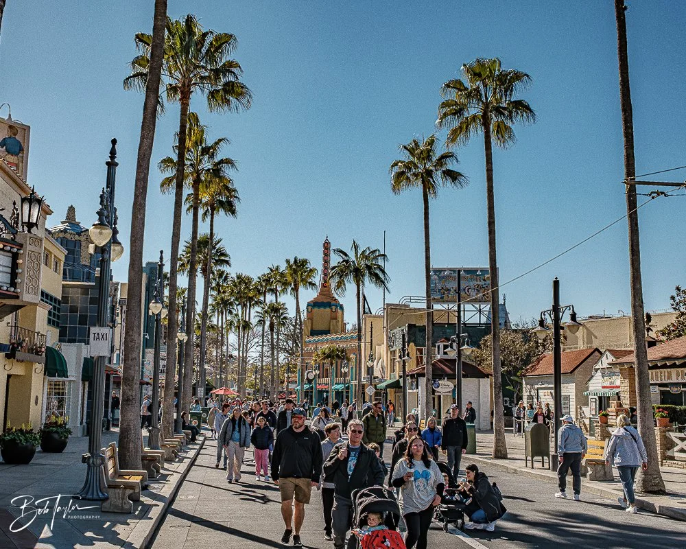 20260129-Hollywood Studios All -86.jpg