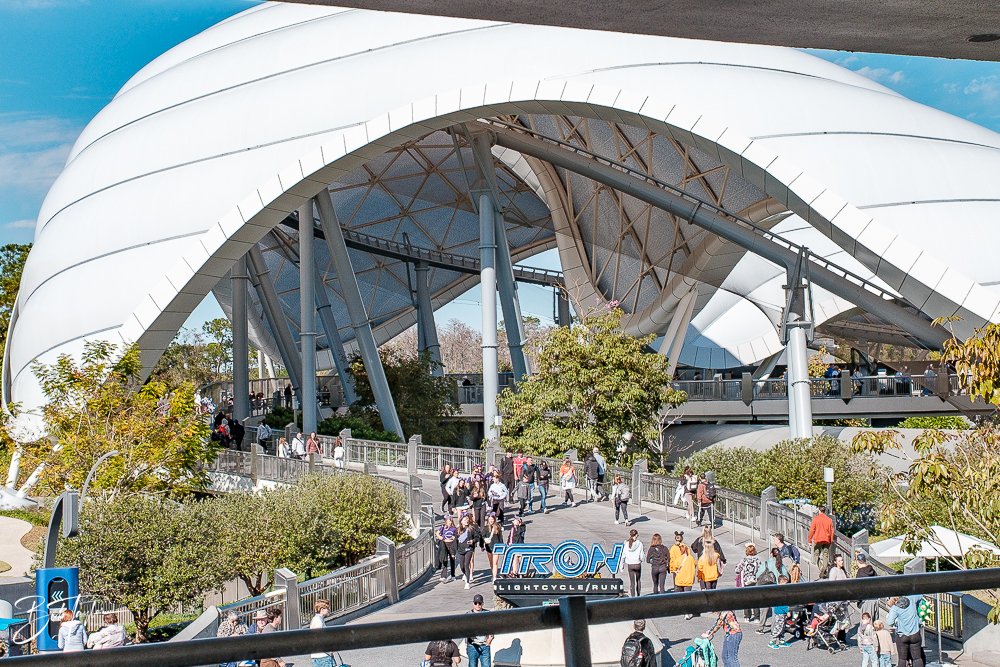 20260128-Magic Kingdom All -180.jpg