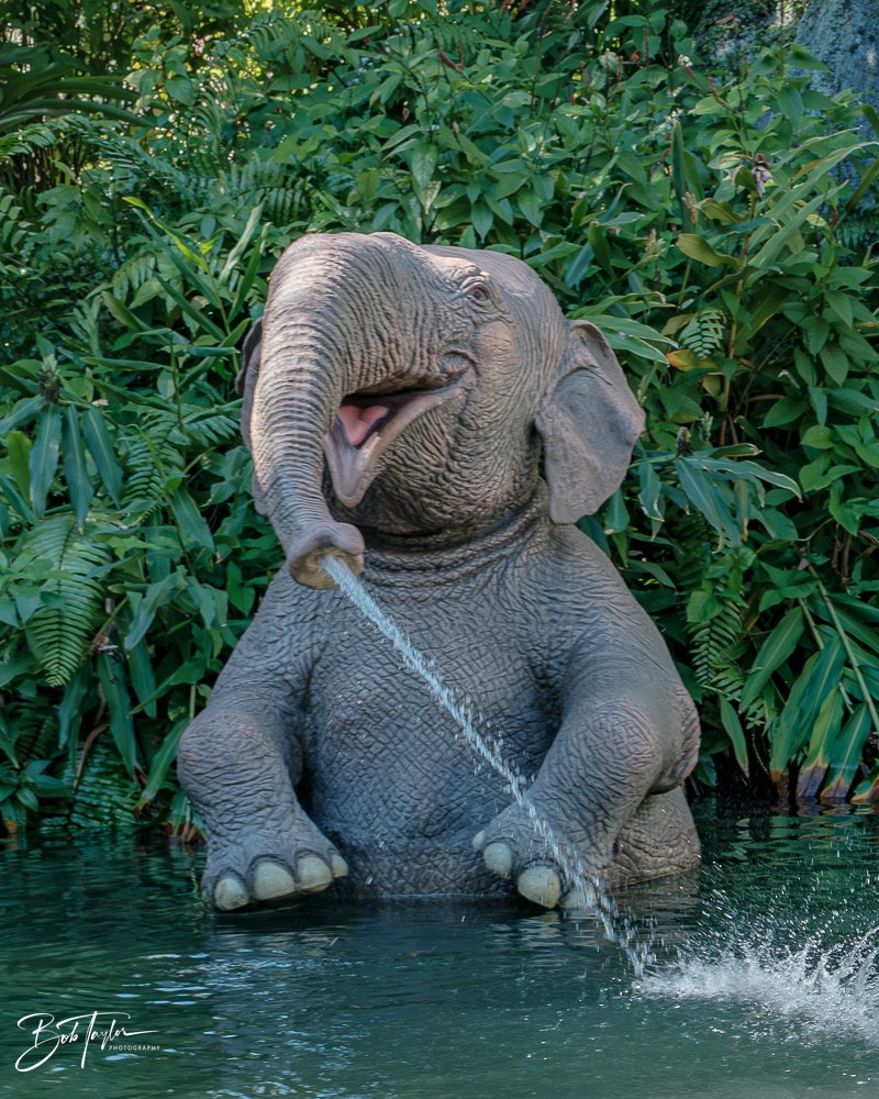 20260128-Magic Kingdom All -103.jpg