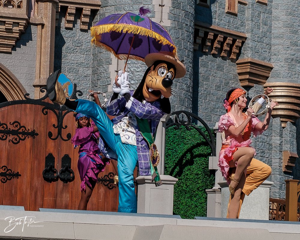 20260128-Magic Kingdom All -159.jpg