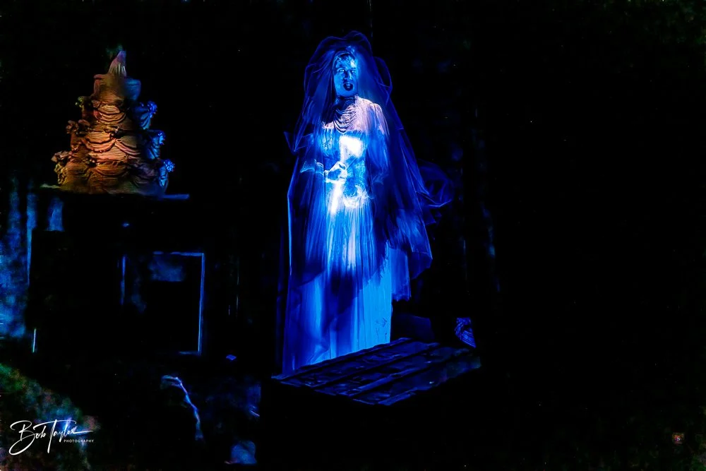 20260128-Magic Kingdom All -134.jpg