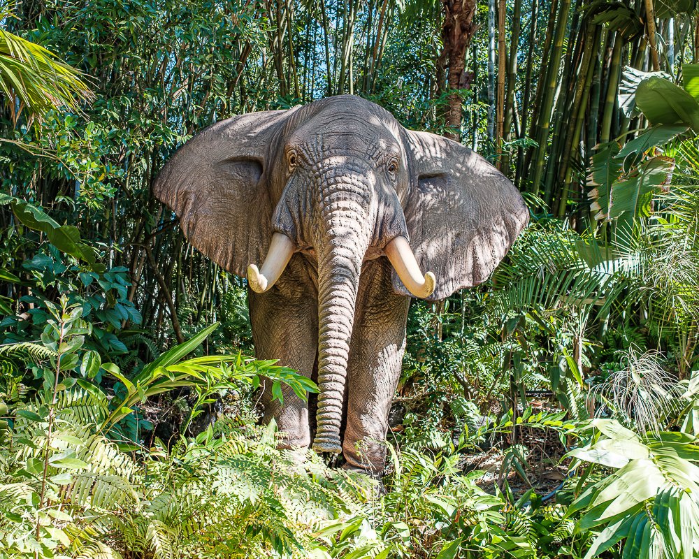 20260128-Magic Kingdom All -96.jpg