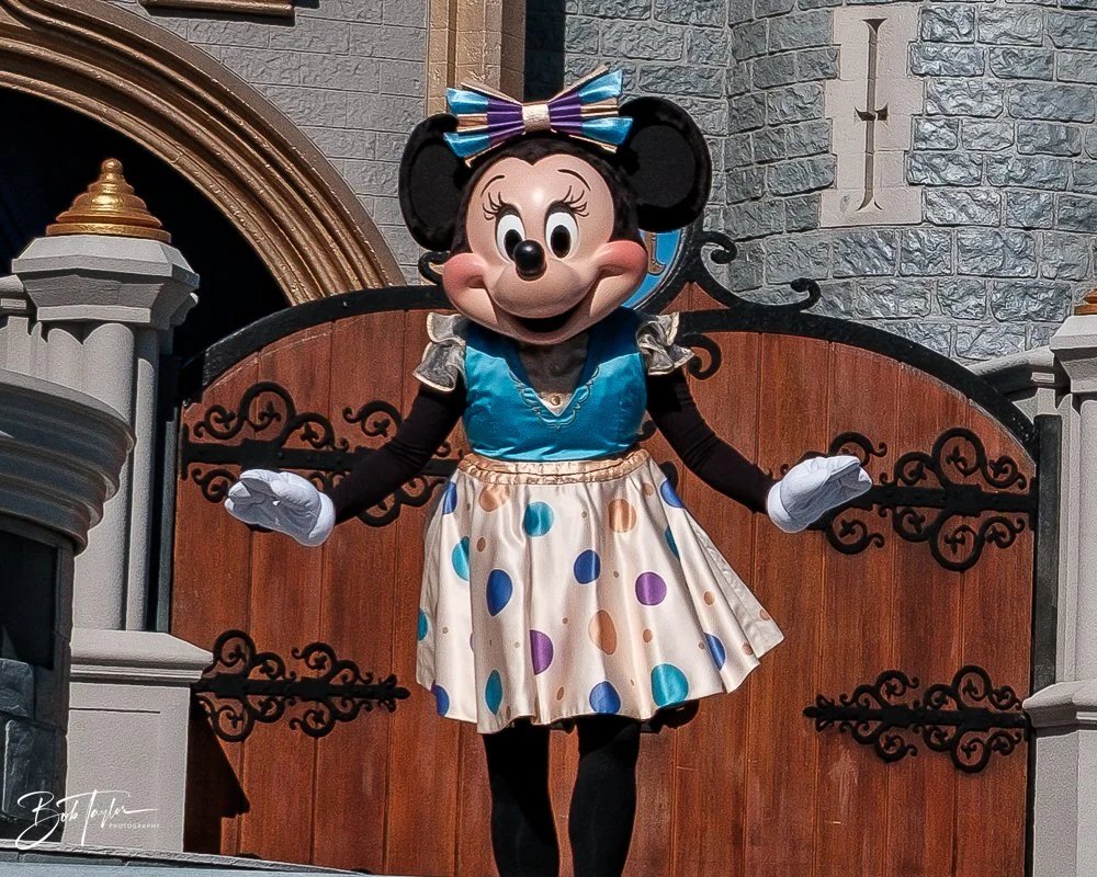 20260128-Magic Kingdom All -158.jpg