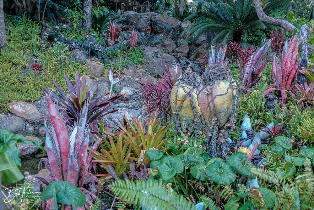 20260127-Animal Kingdom All -9.jpg